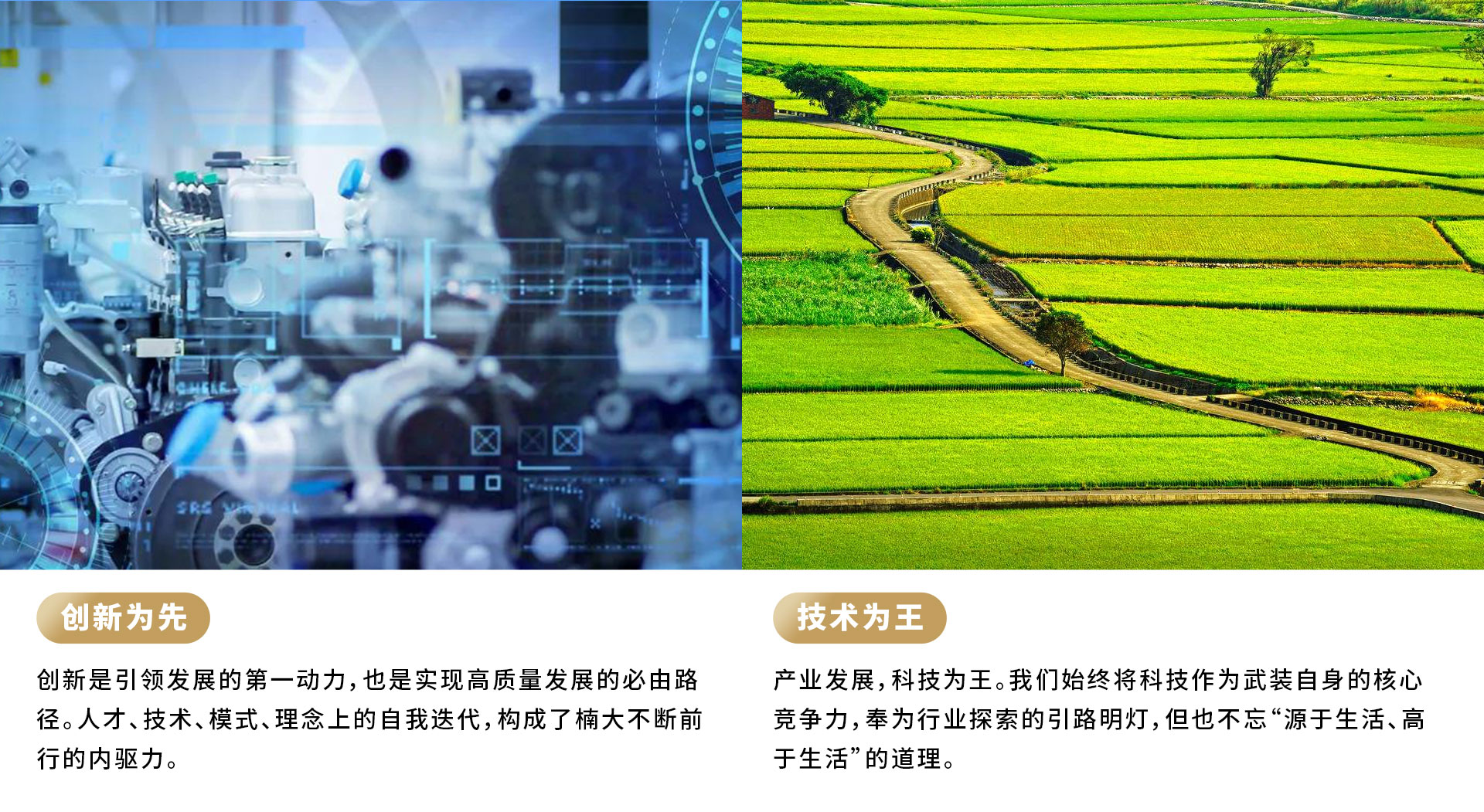 &#30343;&#20896;